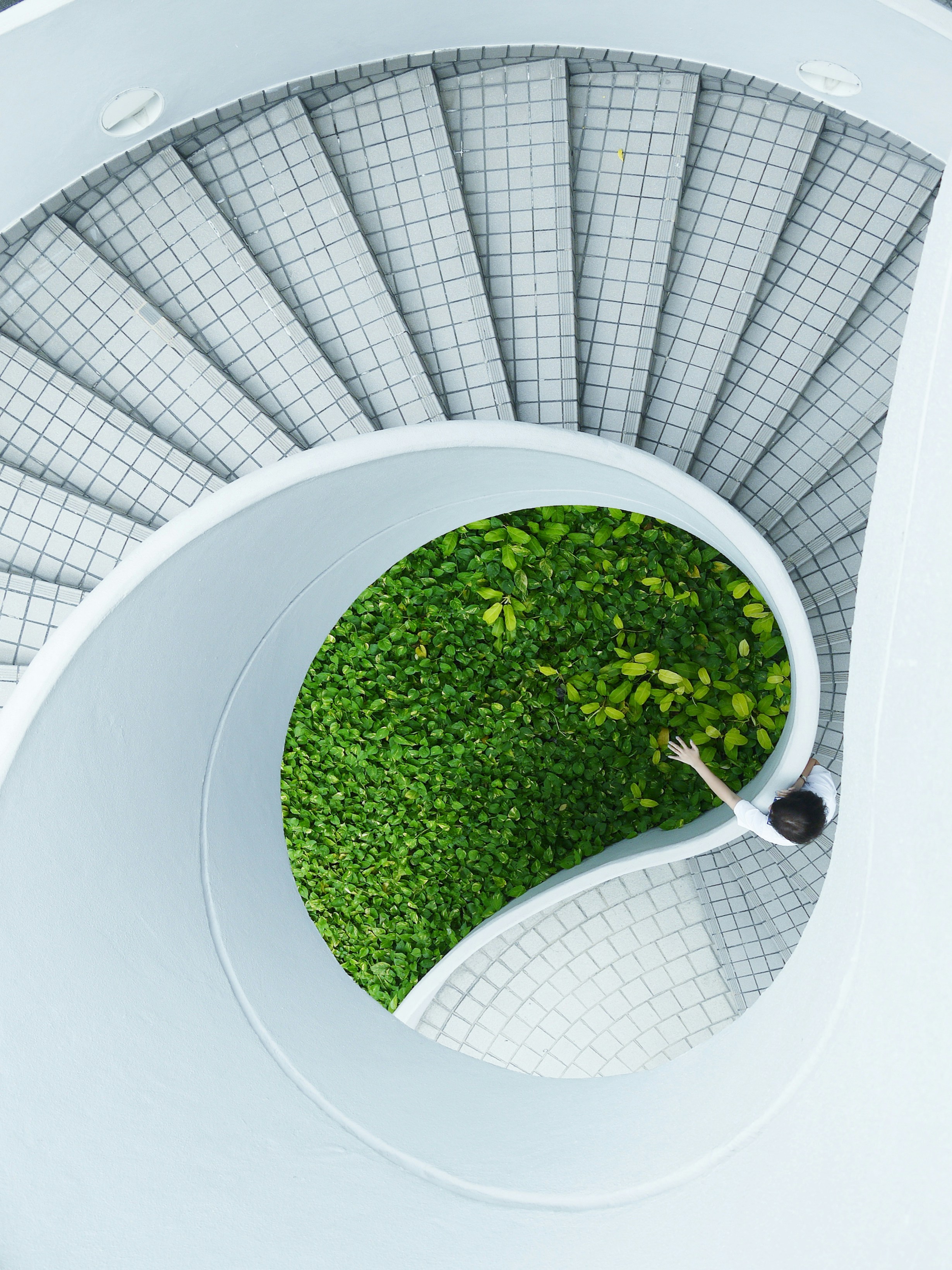 Aerial view of a circular spiral staircase with greenery in the center, symbolizing circular economy